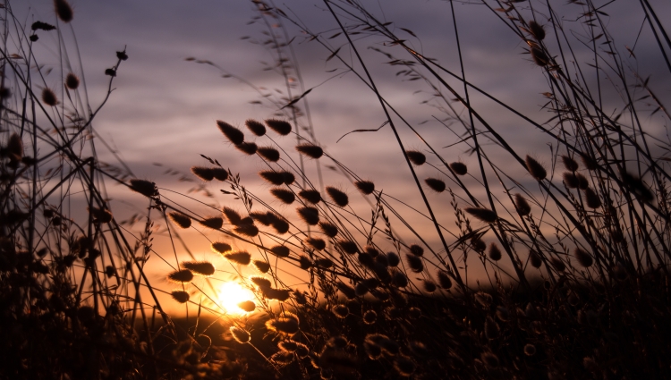 Why Ending Daylight Saving Time Is Good for Employee Reward, Wellbeing, and Productivity